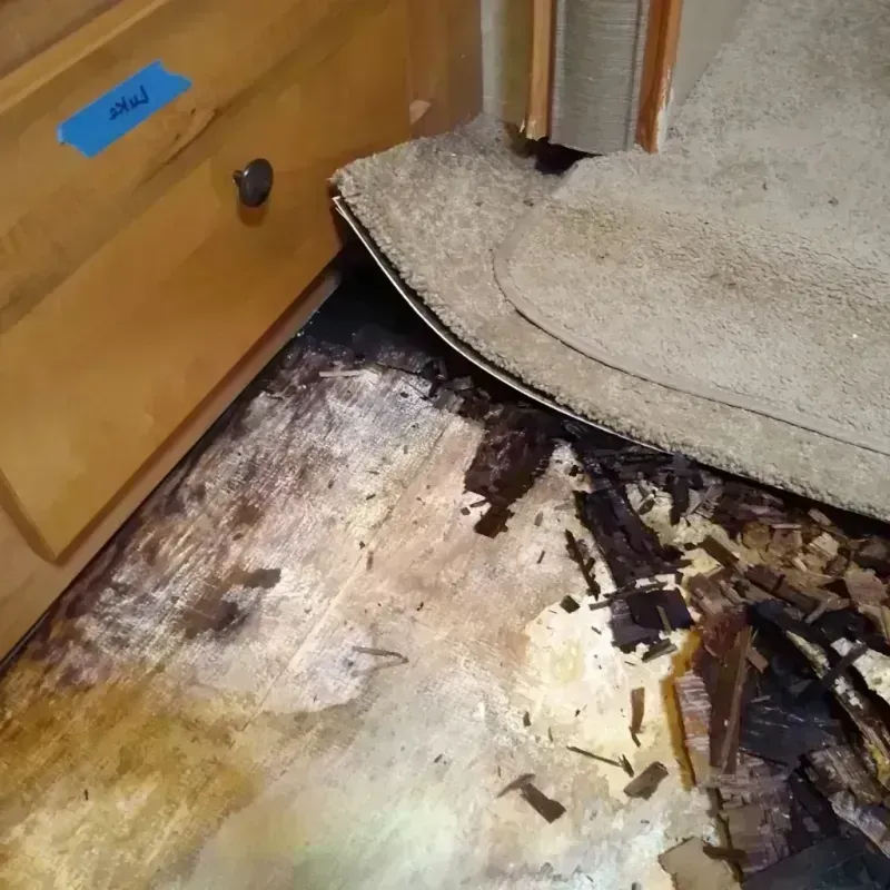 Wood Floor Water Damage in Preston Heights, IL